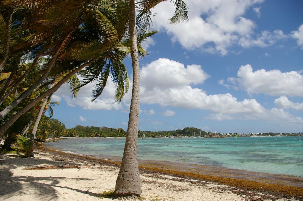 Kaz Creole Aventure Tropicale Insolite, Fibre, Jardin Et Jacuzzi Prives Saint-Francois  Exterior photo