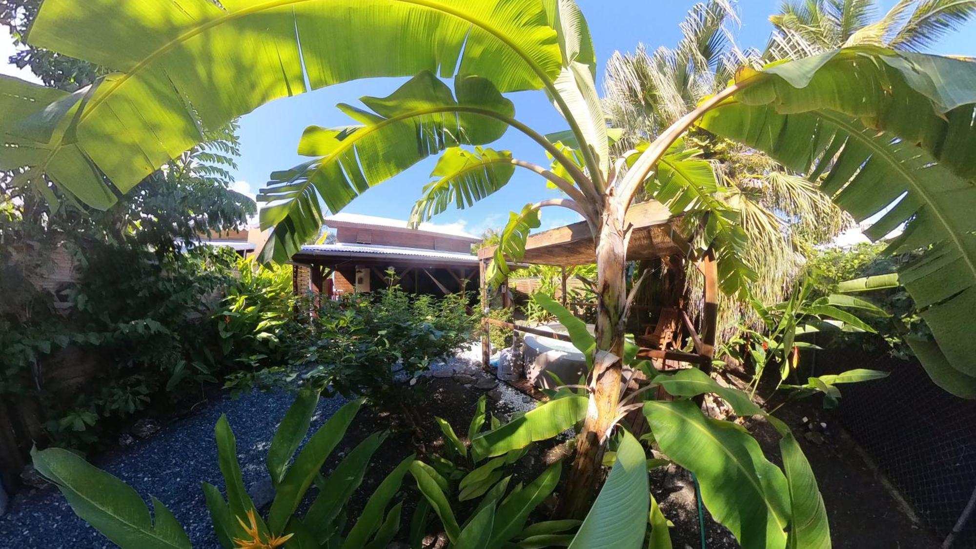 Kaz Creole Aventure Tropicale Insolite, Fibre, Jardin Et Jacuzzi Prives Saint-Francois  Exterior photo